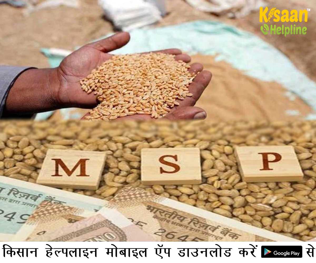 मध्यप्रदेश में MSP पर फसल बिक्री के लिए आज से पंजीकरण शुरू, मुख्यमंत्री शिवराज सिंह चौहान ने किसानों से की ये अपील मध्यप्रदेश में MSP पर फसल बिक्री के लिए आज से पंजीकरण शुरू, मुख्यमंत्री शिवराज सिंह चौहान ने किसानों से की ये अपील